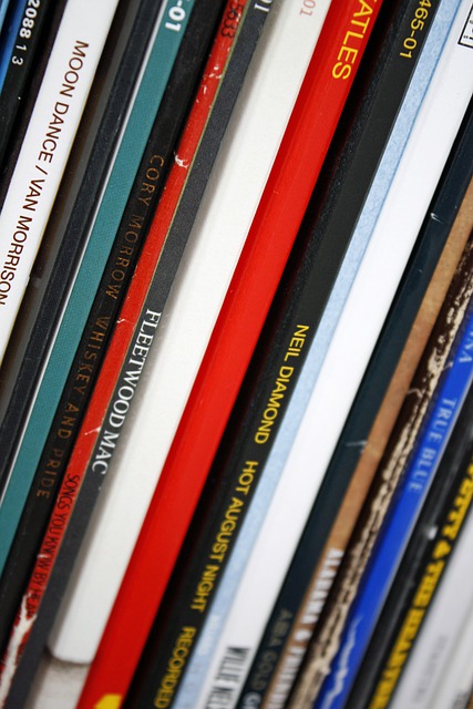vinyl Records Store Devizes Wiltshire